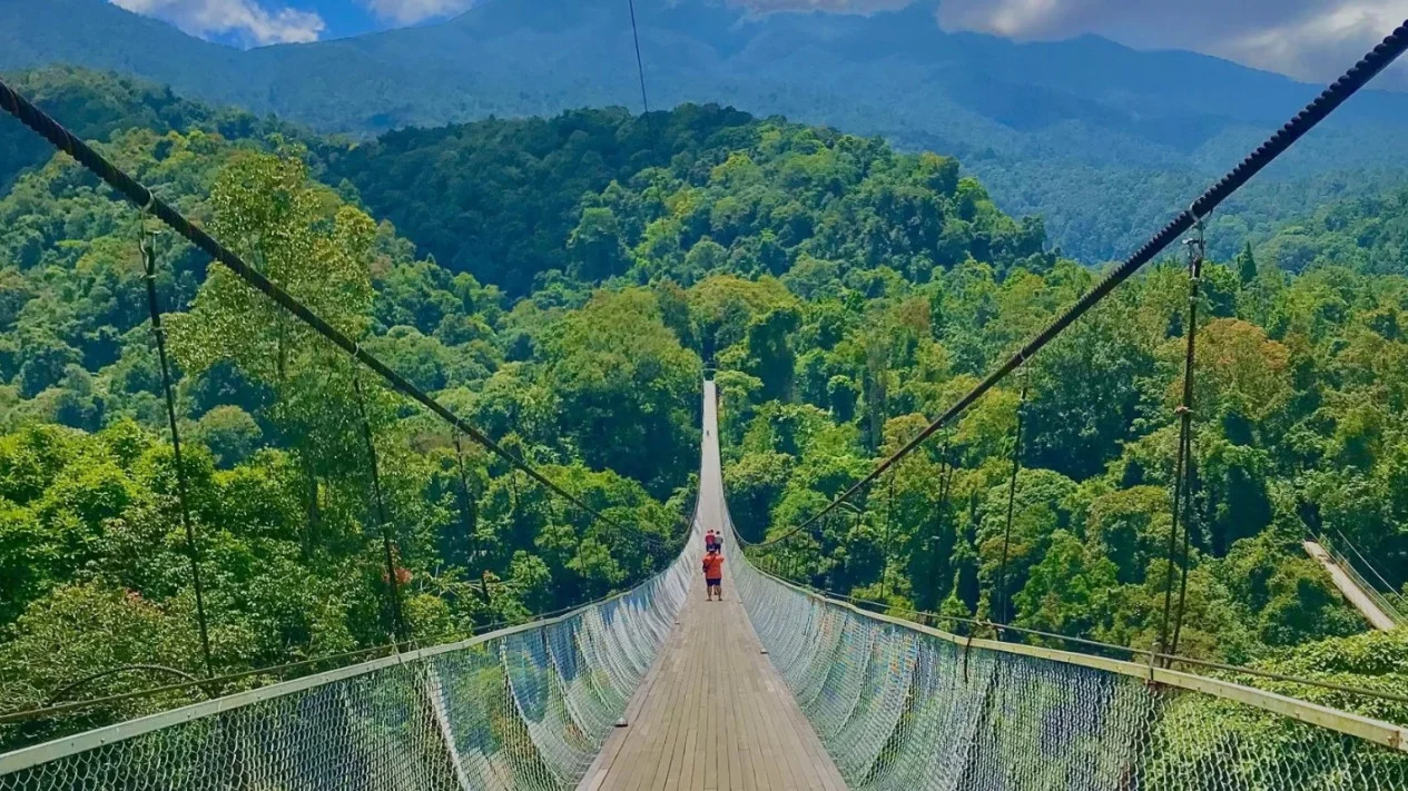 jembatan gantung situ gunung