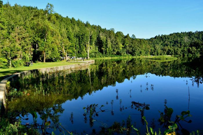 Taman Wisata Alam Situ Gunung